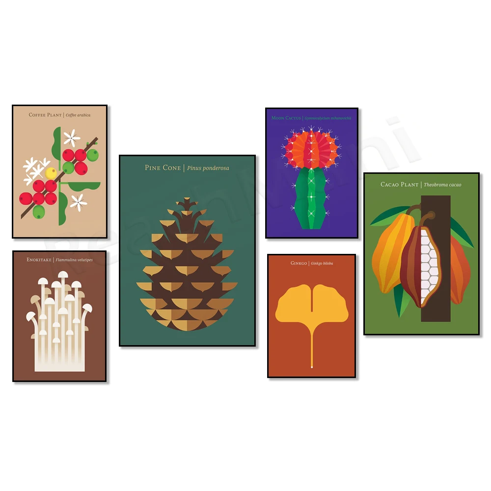 Mid-century modern pine cones, blueberries, moon cactus, enoki mushrooms, cocoa plants, Japanese perilla leaves, coffee poster,