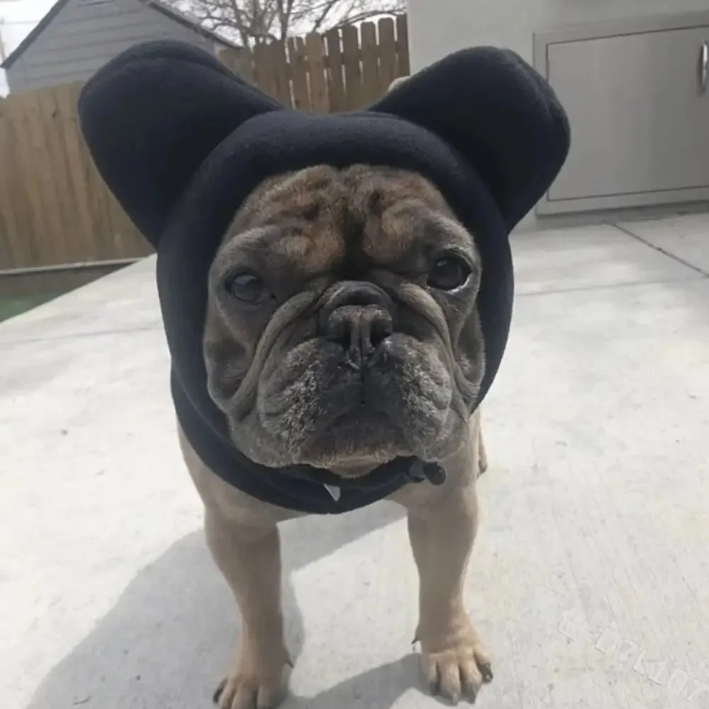 Pets Supplies Solid Color Dog Fleece Hats Adjustable Soft Dog Headgear Cute Comfortable Dog Warm Caps Pet Use