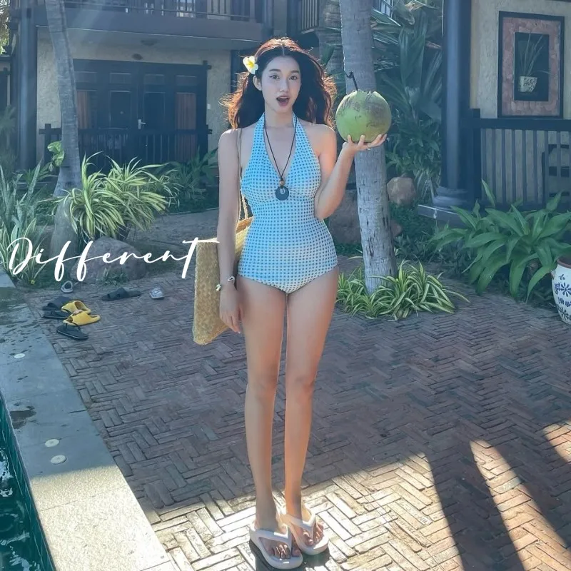 

2026 New Women's One-Piece Swimsuit Beautiful Deep V Sexy Plaid Fre Big Chest Retro Sle Qui Dry No Sve Beachwear