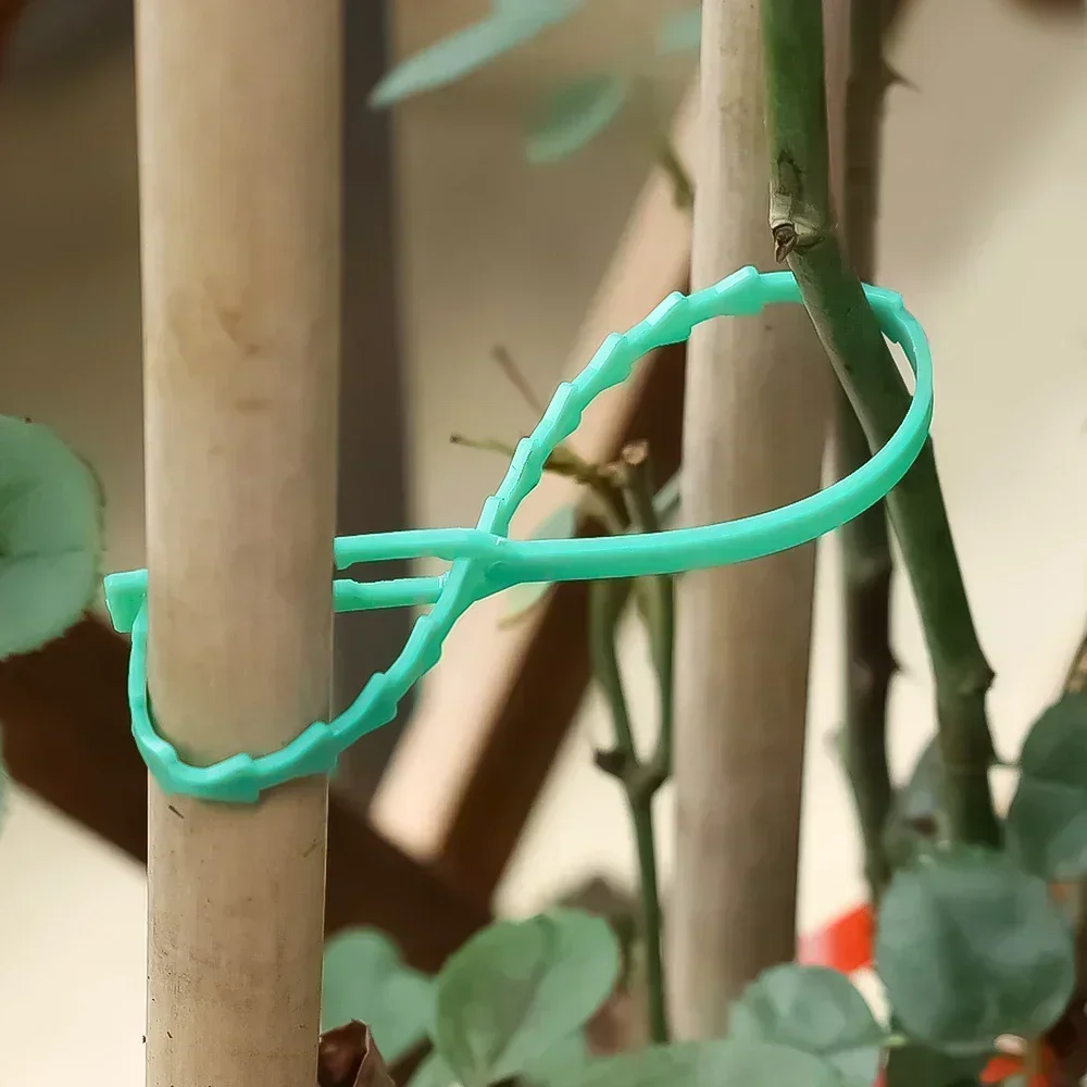 Multi-functional fish bone ties, green garden vines, flowers plastic ties, horticultural plants, reusable fixed wires