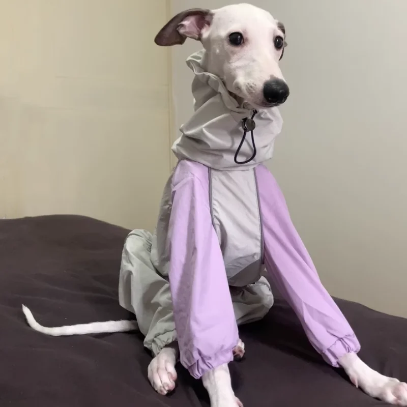 

Summer Spring Waterproof Jacket for Dogs 4-legged Purple Raincoat for Italy Greyhound Inner Mesh Breathable Coat for Whippet