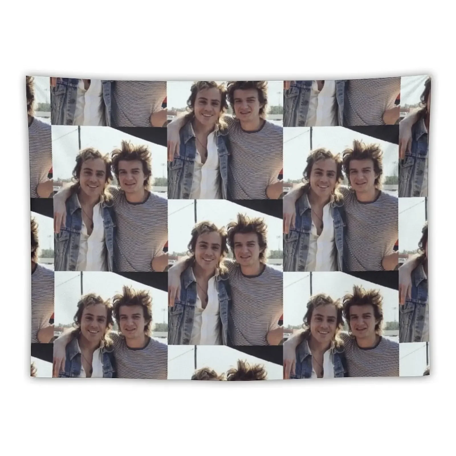 Joe keery and Dacre Montgomery Tapestry Room Decorations Aesthetics Home Decoration Accessories House Decoration Tapestry