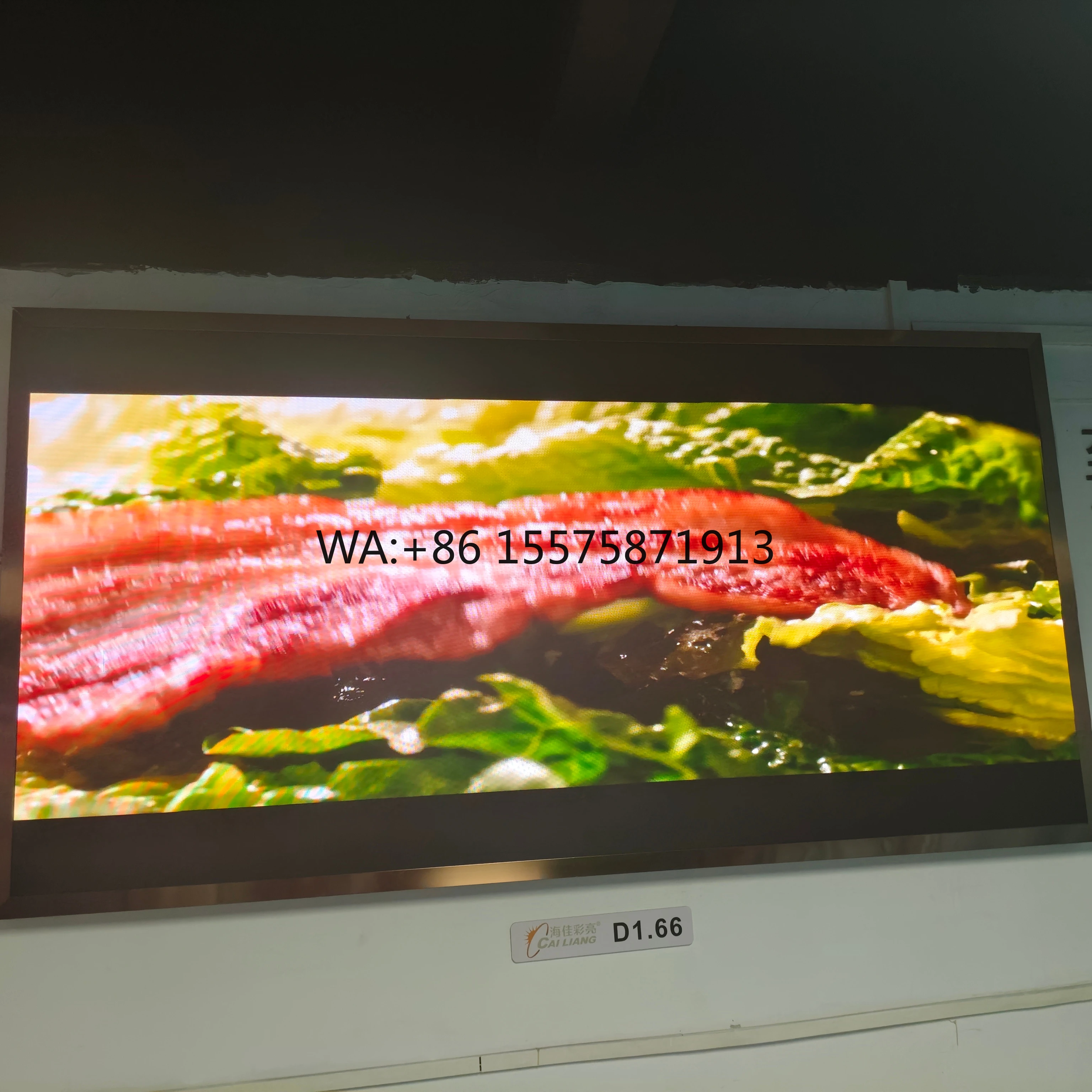 شاشة عرض LED داخلية P1.53 لشاشات كبيرة وقاعات المعارض حل عرض داخلي متين