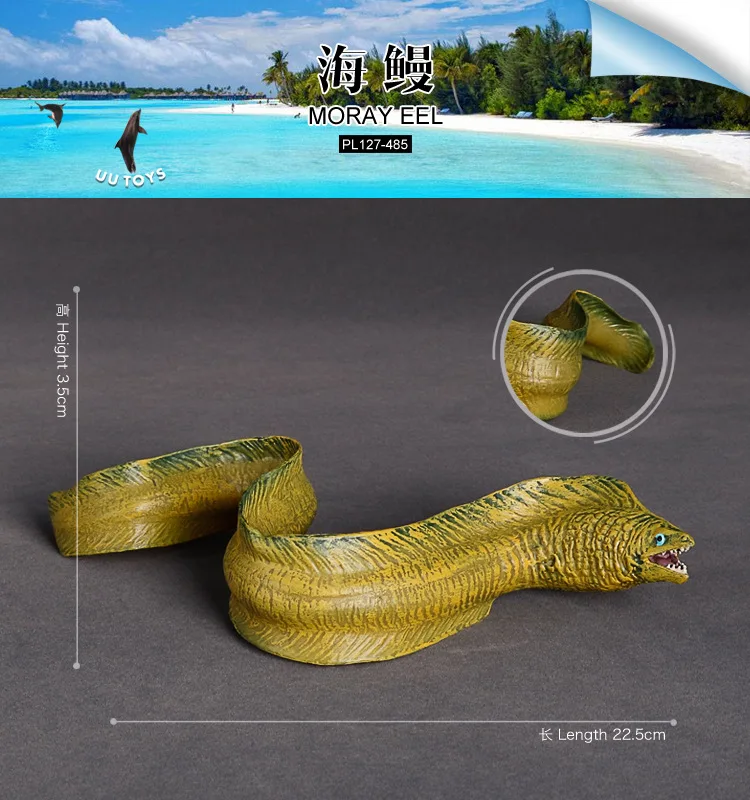 Marine life, moray eel, simulated marine animal model set, Finding Nemo, underwater biological plastic