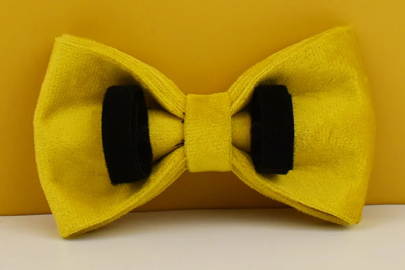 Gelbes Samt-Hundehalsband und Leinen-Set für kleine, mittelgroße und große Hunde, individuell graviertes Namensschild, Heimtierbedarf, Hundeleine, Velvet04 – Detail 13