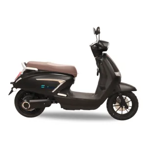 SINSKI-SCOOTER Hochgeschwindige Elektrik mit Scheibenbremse, 1000 W, 1500W, 2000W, CKD 12 Hauptverkaufsmota Scooter Electric - №7