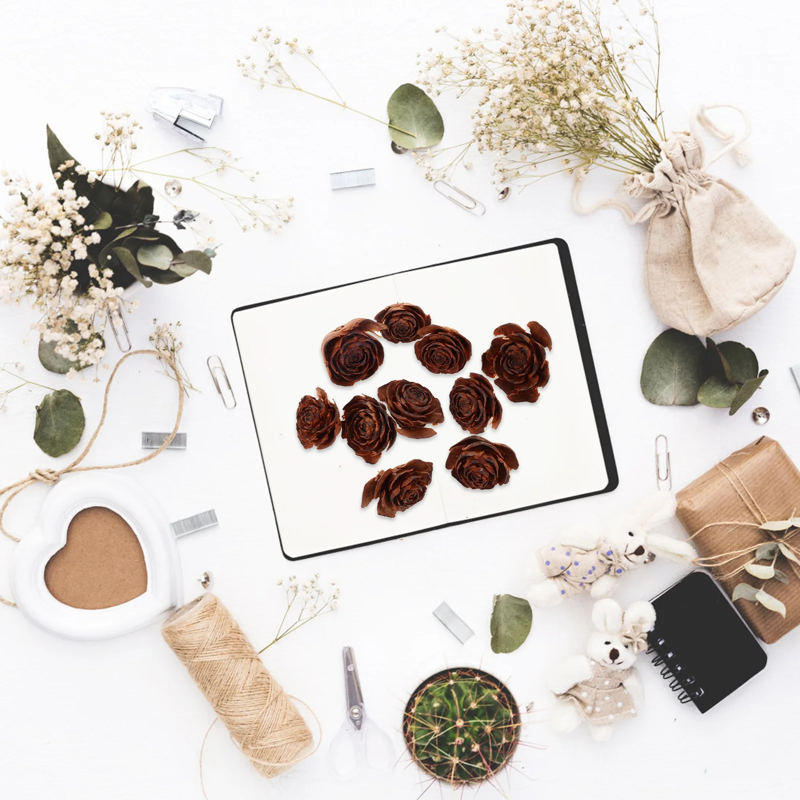 10개입 건조 꽃 천연 예술 공예 DIY 수제 식물 샘플 레진 공예 재료 창의적인 꽃 장식 재료