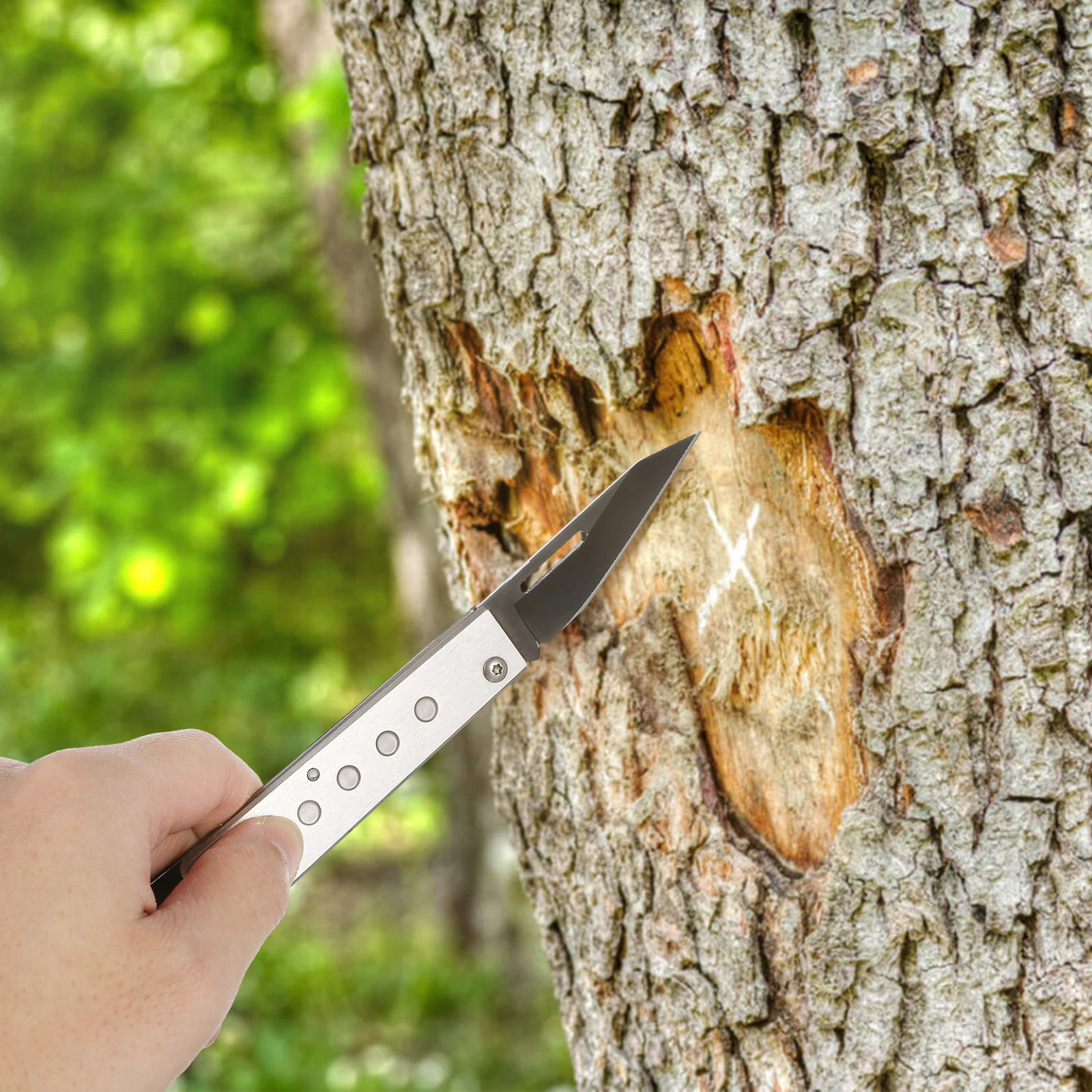 

Stainless Steel Bark Cutting Tool Peach Tree Bark Cutter Ergonomic Design for Comfortable Use in Gardening Garden Tool