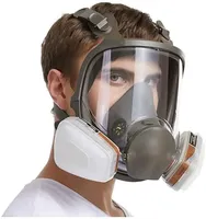 Industrial Anti-Fog organic Vapor Dustproof 6800 Respirator Gas Mask Painting Spraying Protection with Activated Carbon Filter