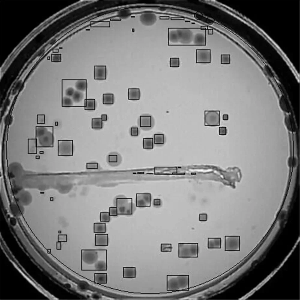colony culture count Laboratory Instruments Total Bacterial Count Automatic Counter