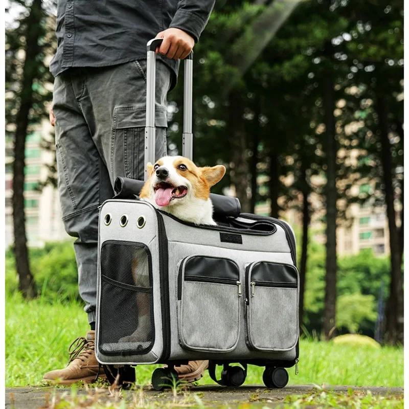 Large Capacity Pet Backpack Comfortable Animal Carriy Travel-Friendly Dog Crate Multi-Functional Stroller Reinforced Basket