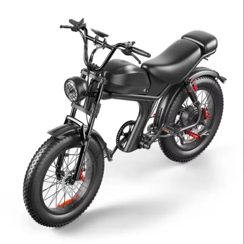 Adult Electric Bike C93 2000W Motor 48V23Ah Battery Dual Hydraulic Break E-Bike Max Speed 55km/h Aluminum Alloy Electric Bicycle