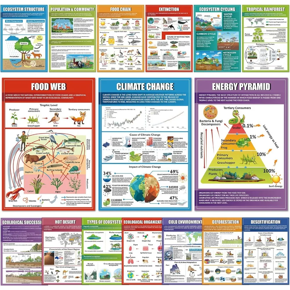 

Eggsun, 16 шт., научные постеры с экосистемами для украшения класса средней школы, учебные диаграммы по экологии 11 x 16 дюймов для учителей м