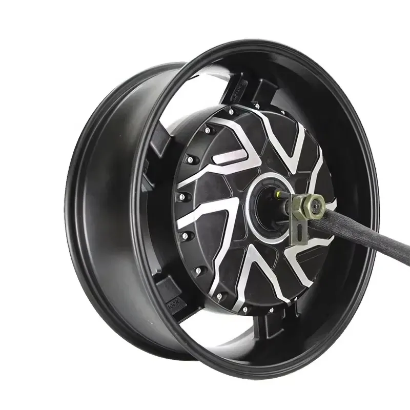 Hot Sale QS Motor 17x6.0inch 12000W 273 V4 MAX 157KPH 96v Wheel Motor BLDC Dual Shaft Hub Motor E-Motorcycle Permanent Magnet
