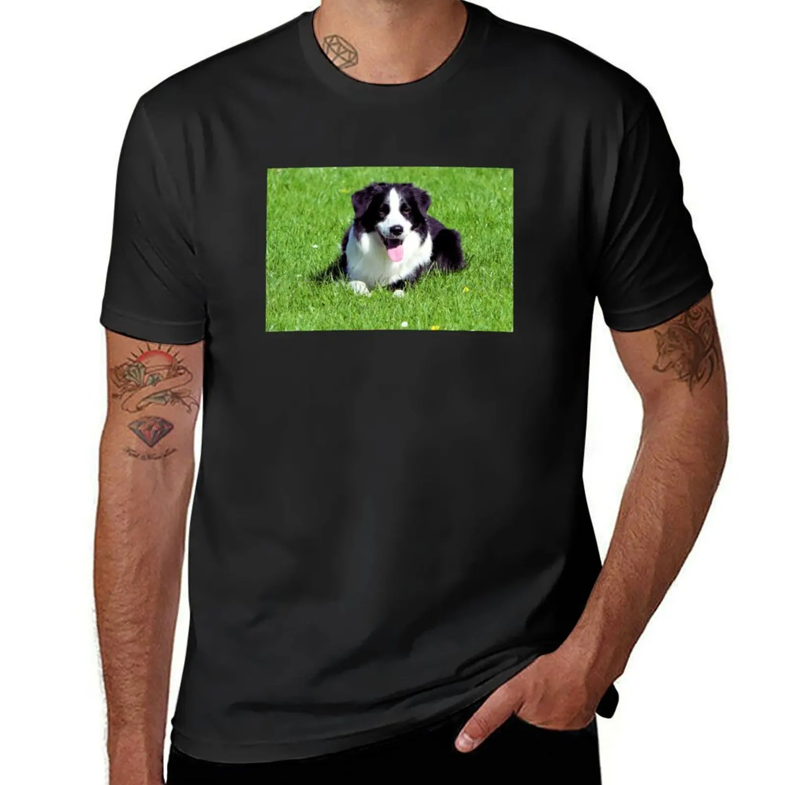 Border Collie On The Grass T-Shirt sports fans customs vintage funnys heavyweight t shirts for men