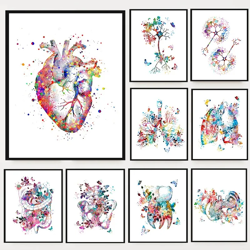 Colorful Floral Anatomy Poster Physiology Medical Heart Brain Therapist Canvas Painting Modern Wall Art Clinic Room Home Deco
