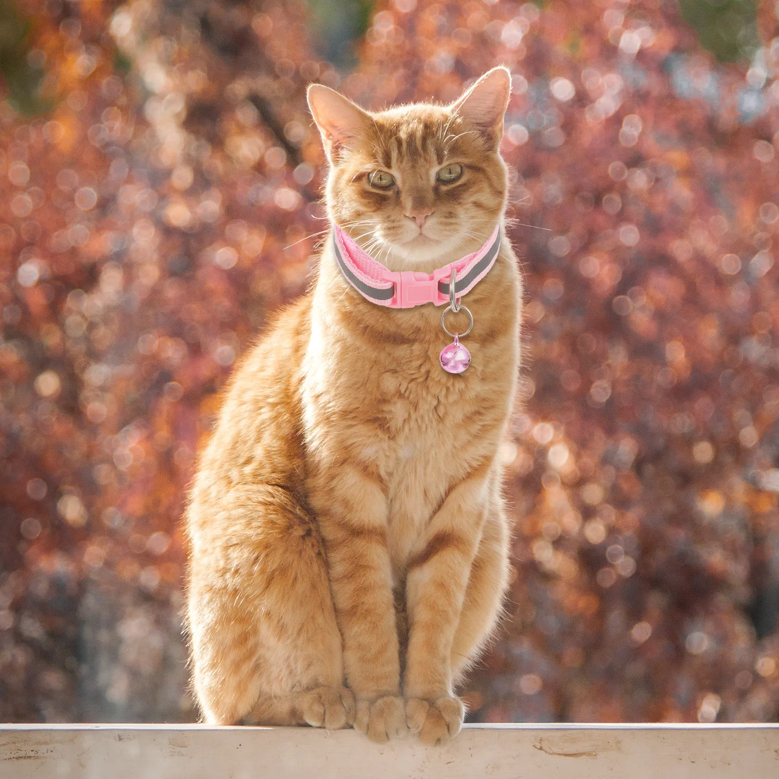 

5 шт. светоотражающих ошейников для кошек из нейлона и полипропилена, гипоаллергенные, регулируемые, портативные, с колокольчиком, для повседневного использования и ночной безопасности