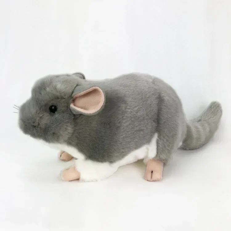 Jouets en peluche de chinchillas réalistes de simulation, animaux en peluche doux, poupée d'anniversaire, cadeaux de Noël, zoo drôle, 36cm