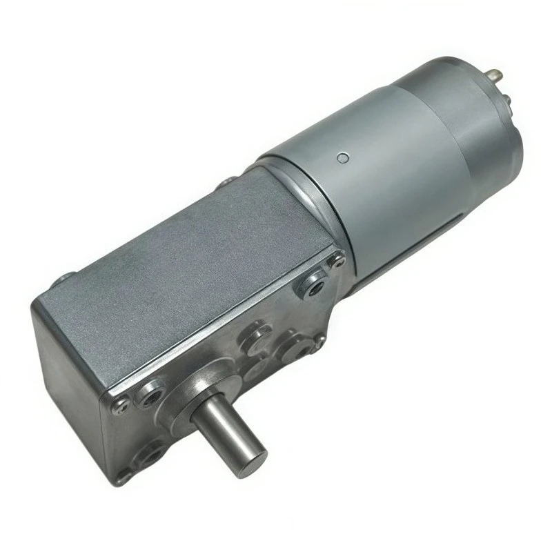 A58-555 Worm Gear Motor 12V 24V High Torque Self-Locking with Adjustable Power Supply