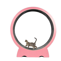 Cat and dog silent running wheel anti-depression pet training household pet treadmill