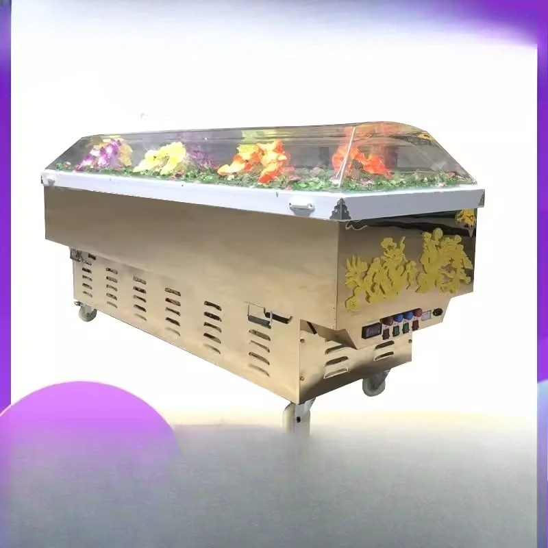 Ice coffin, refrigerated coffin, frozen luxury thermostatic coffin