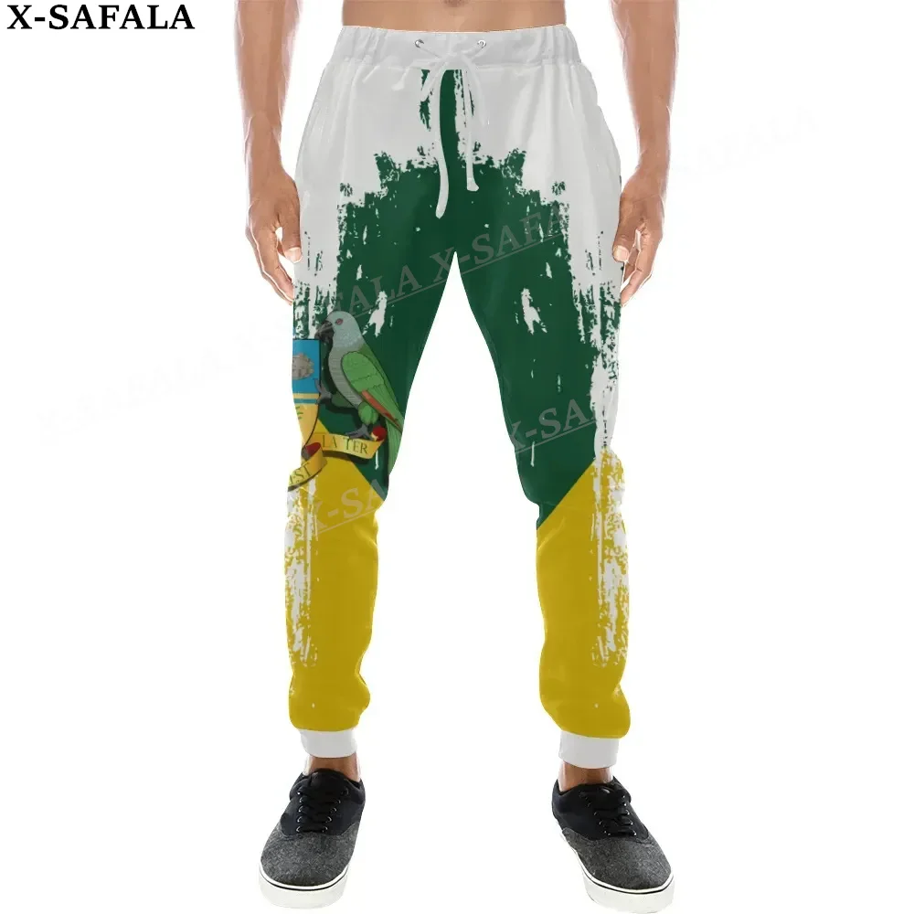 Dominican Coat Of Arms Flag Trousers Men Women Sweatpants Drawstring Long Joggers Streetwear Spring Autumn Sports Pants-3