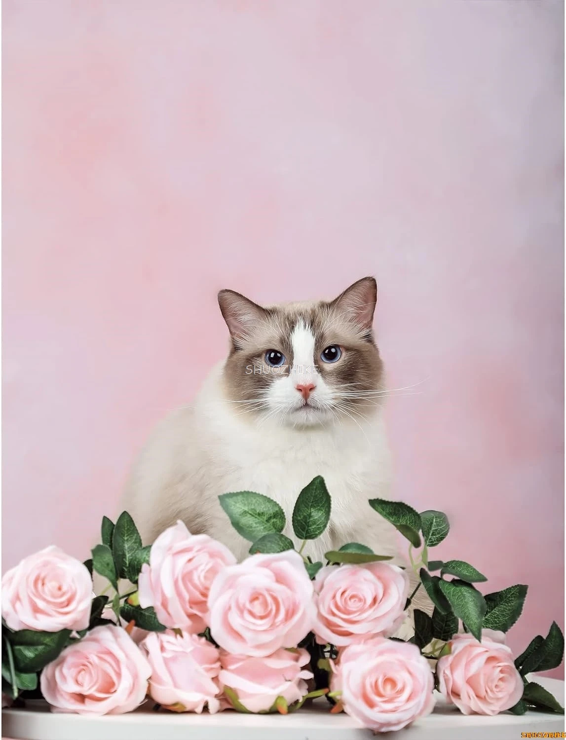 Fondo de fotografía de Color sólido con textura rosa abstracta, fondo para fotografía de boda, retrato de embarazada para cumpleaños de bebé recién nacido