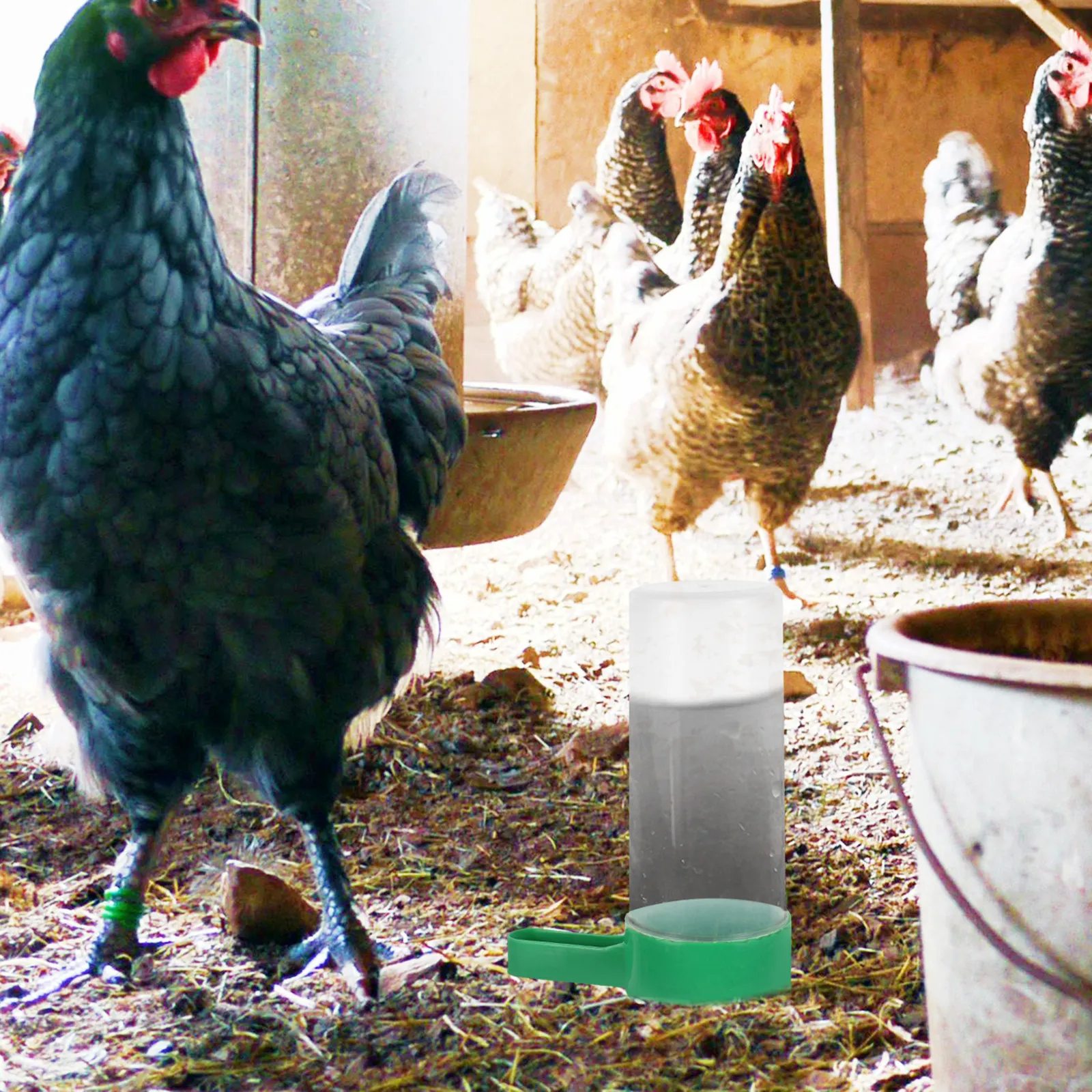 Poultry Feeding Trough for Chickens Ducks Geese Automatic Chick Feeder Anti-Spatter Design Stable Compact Easy Fill Clean