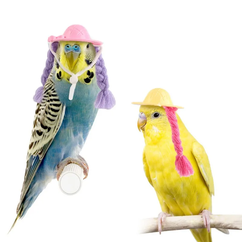 Guinea Pig Hamster Hat Braids Parrot Pet Small Hat Accessories Mini Little Guinea Bird Doll Accessories Pet Party Costume Hat