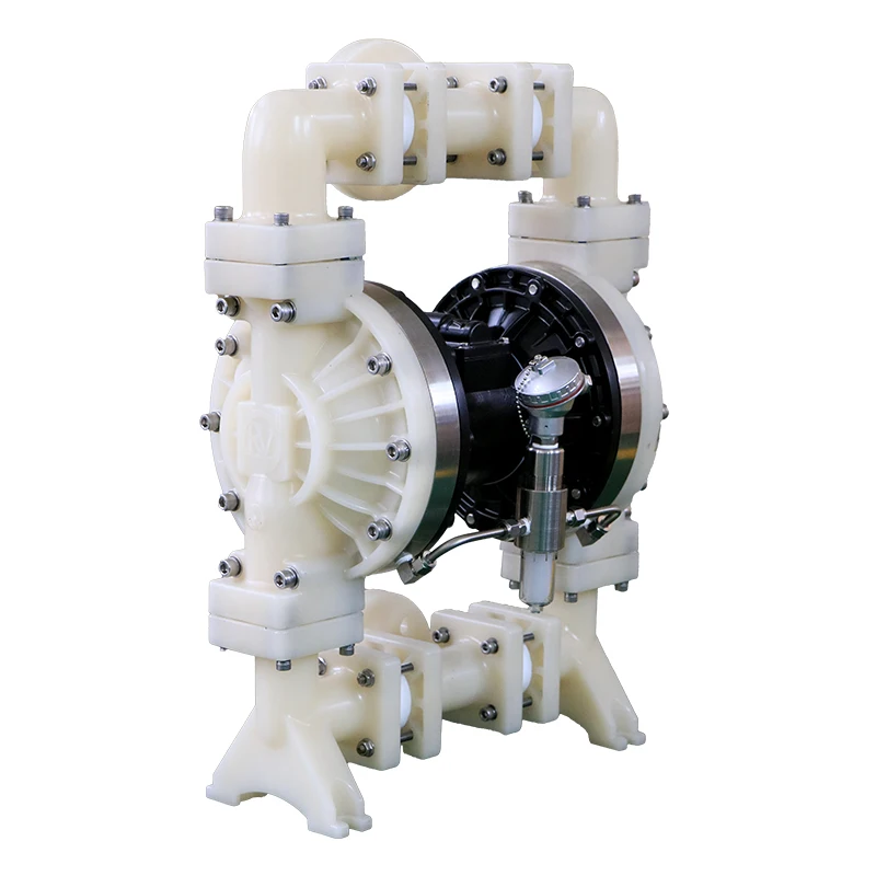 

1 1/2 Inch Diaphragm Pump With Low Pressure Corrosive Resistance Leak Detection For High Acid Wastewater Treatment