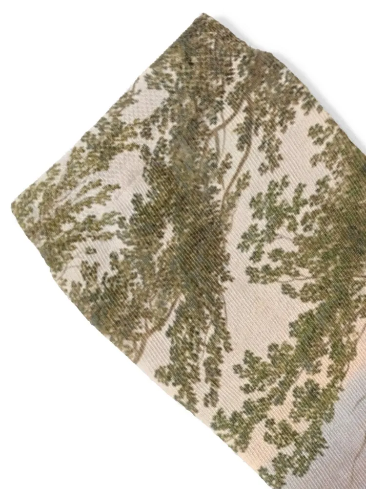 Chalk Cliffs on Rugen Socks gym custom sports anti slip football compression Socks For Men Women's