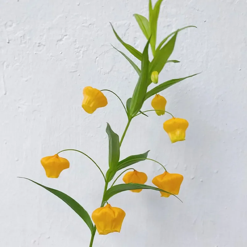 Rare variety palace lantern lily flower indoor water bottle flower arrangement