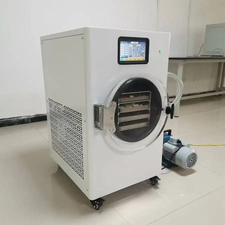 Liofilizator Commercial Lyophilizer Vacuum Freeze Dryer Precio Liofilizador Lyophilization Machine