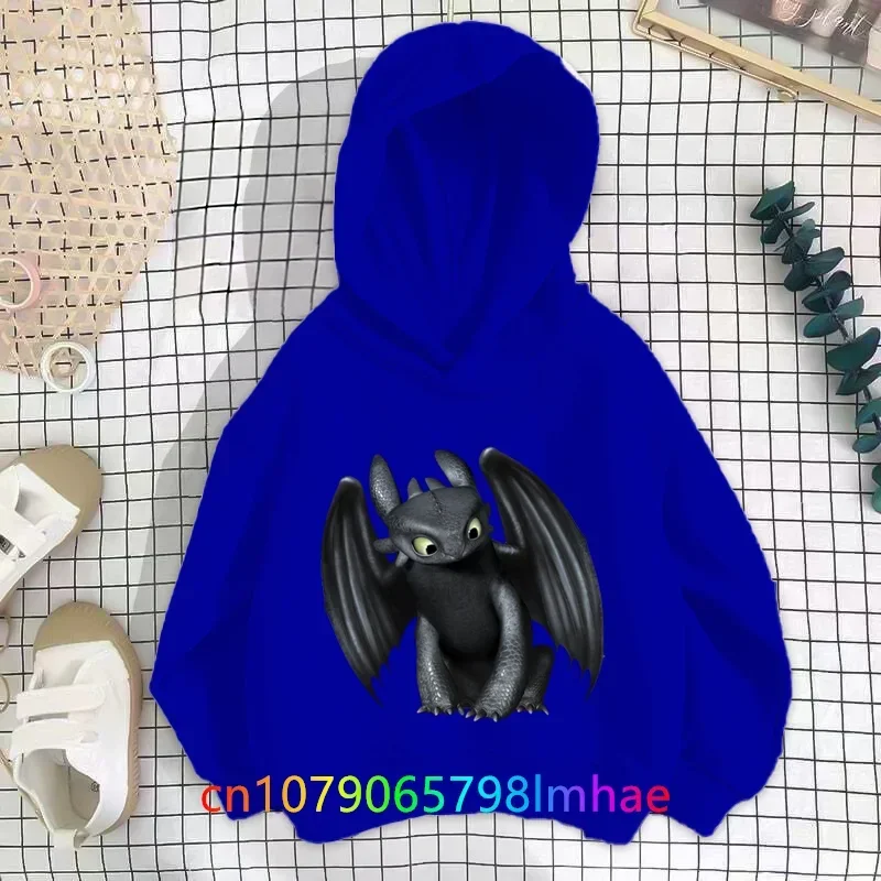 How to Train Your Dragon desportivo com capuz infantil, moletons com capuz, meninas, meninos, roupas infantis, tops, outono