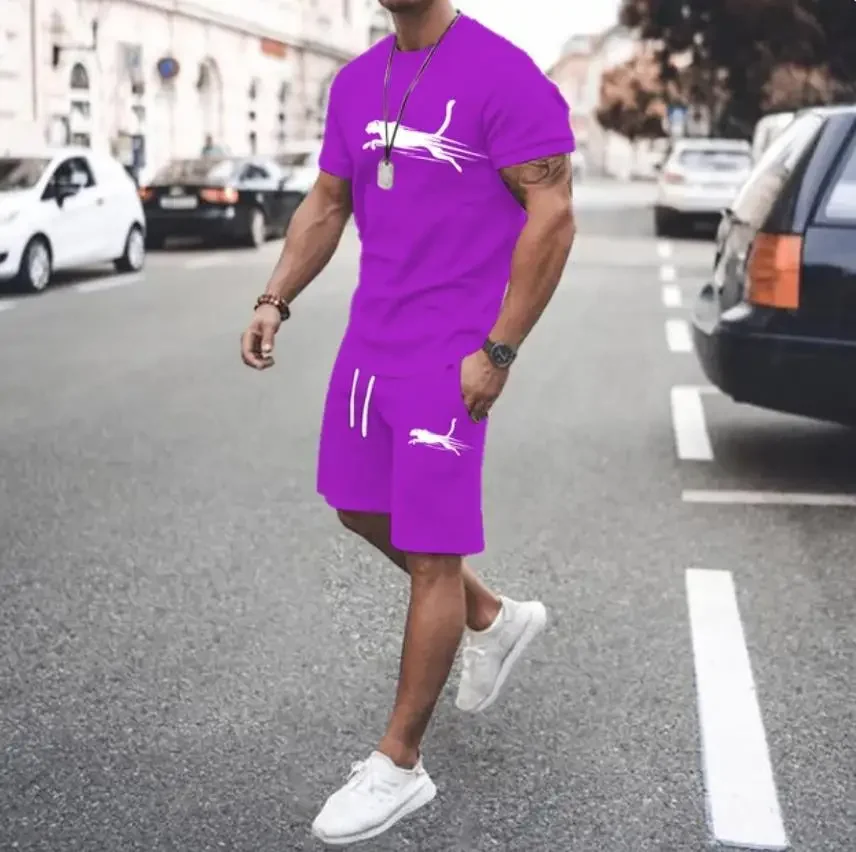 Conjunto de camiseta de manga corta y pantalones cortos deportivos para hombre, ropa deportiva informal, moda de verano, 2024