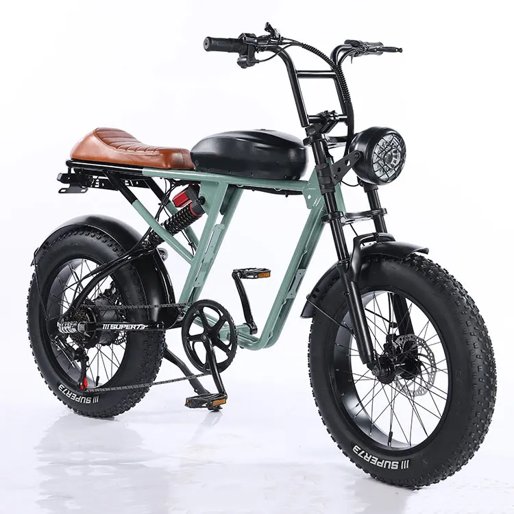 750W 20inch Electric Bike 48V 12Ah Fat Tire Other City Electric Bikes For Sale