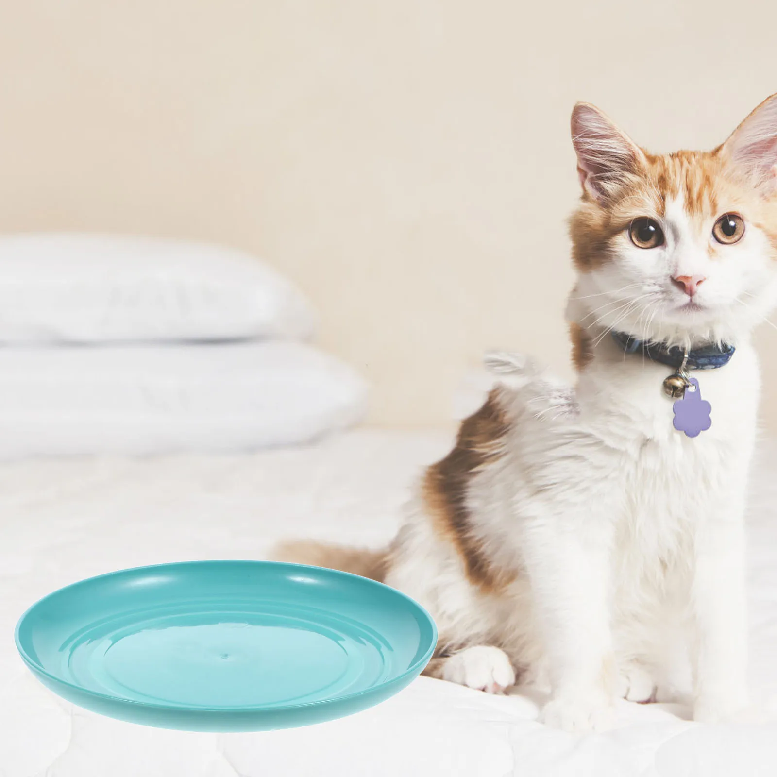 

8Pcs Cat Bowls Set Shallow Sky Blue Cat Food Dish Unbreakable for Kittens Short-Legged Cats Pet Water Bowl