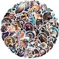 50pcs