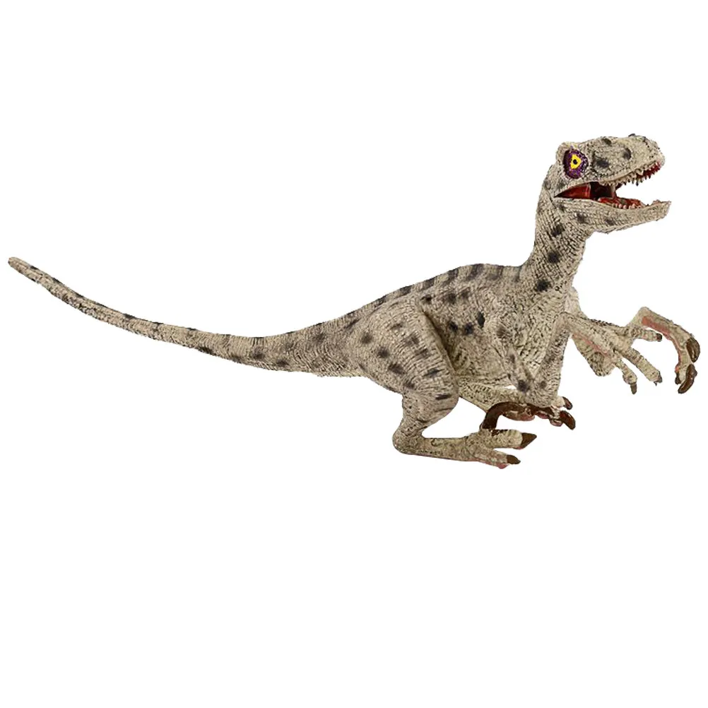 Product photo 3
