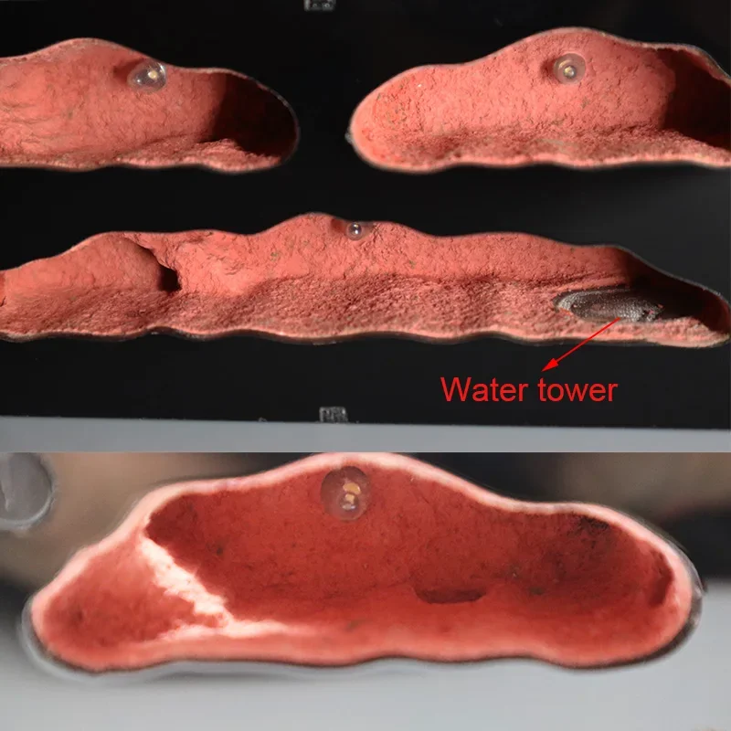 Casa de granja ecológica de hormigas con luces independientes, Control de nido de hormigas, insecto de hormigón, Hotel, antill para mascotas, taller, 3 luces, casa de hormigas