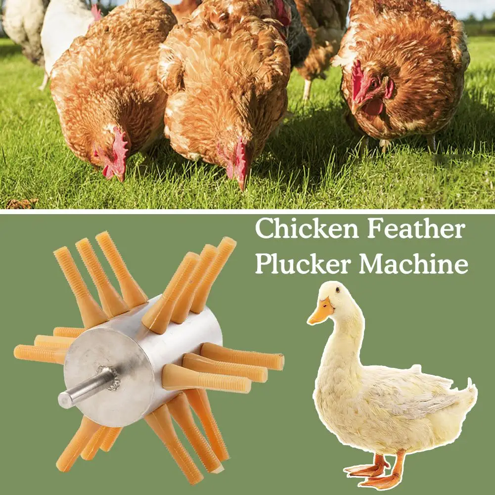 1PC Chicken Plucker Drill Attachment Stainless Steel Chicken Plucker 18 Fingers Chicken Feather Removal Plucker Machine