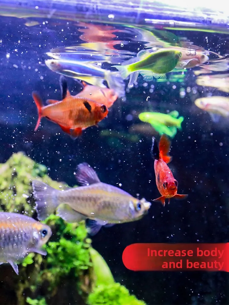 SUNSUN Freeze Dried Brine Shrimp for Guppies & Parrot Fish, Nutrient-Rich Natural Food for Small Tropical Fish view 5