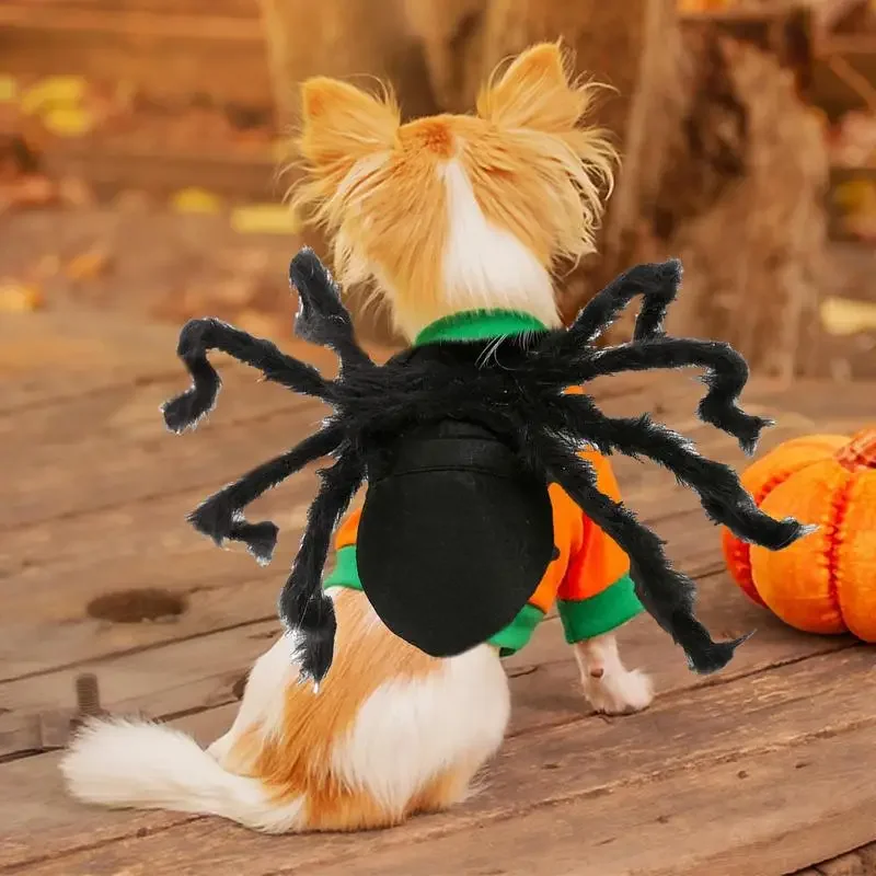 Halloween Pet Spider Costume simulazione Black Spooky Spider Clothes Dressing For Dogs Cats Party Cosplay puntelli Funny Outfit