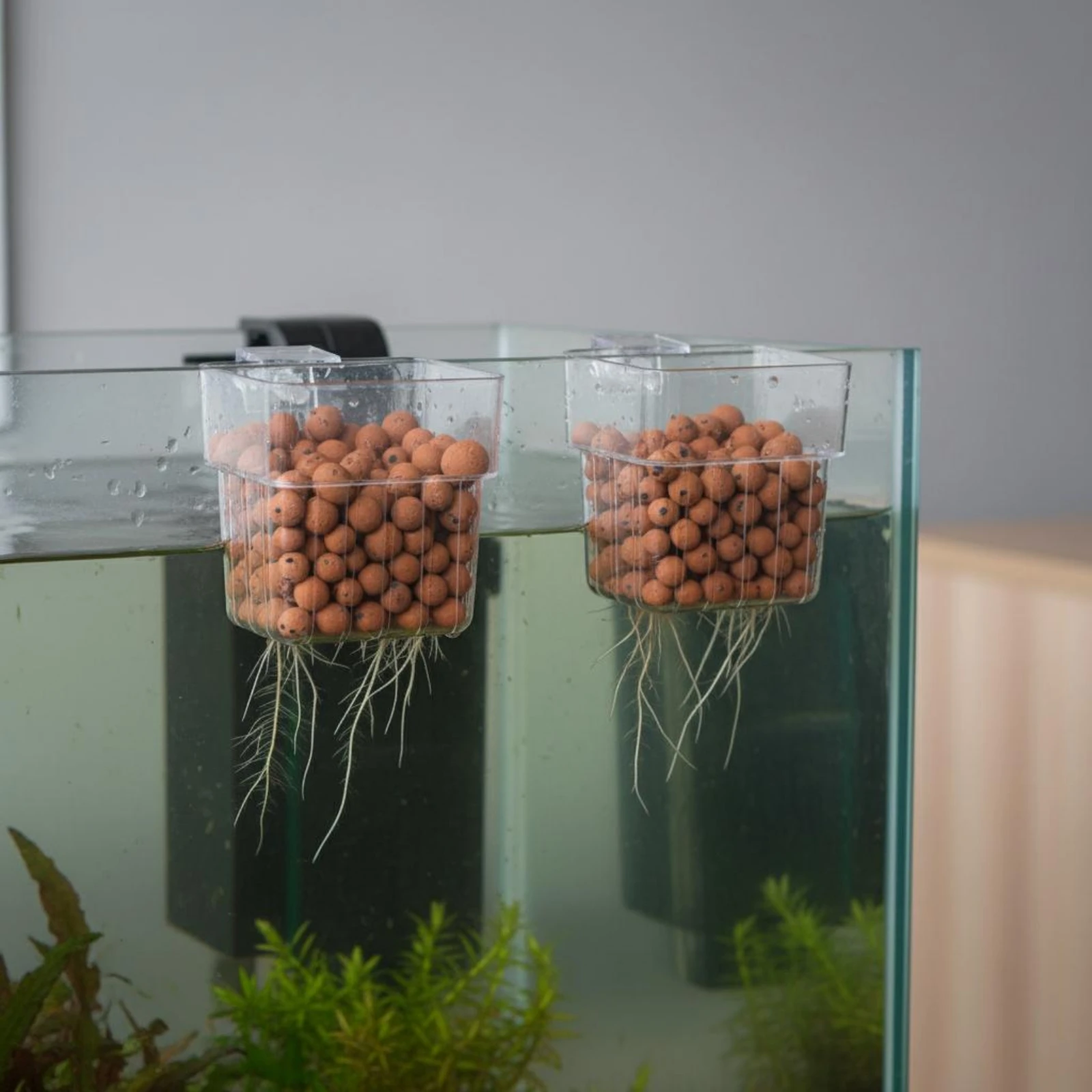 Clear Wall-Mount Planter Aquascaping Decoration Aquatic Habitat Plant Holder Hanging Aquatic Enclosure Planter Transparent