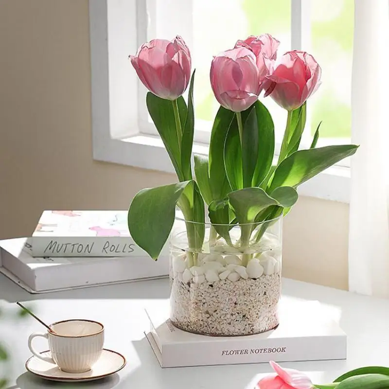 New Square/Round Transparent Acrylic Flower Nursery Pots Bonsai Plant Pot Desktop Decoration For Garden Yard Living Room Balcony