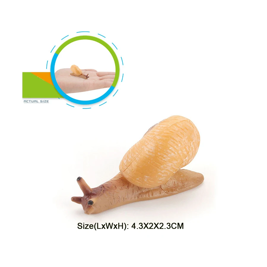 Realistischer Lebenszyklus einer Schnecke, Modellfigur, Schneckenfigur, Partyzubehör, Kuchendeckel, Tischdekoration, Sammlungsspielzeug