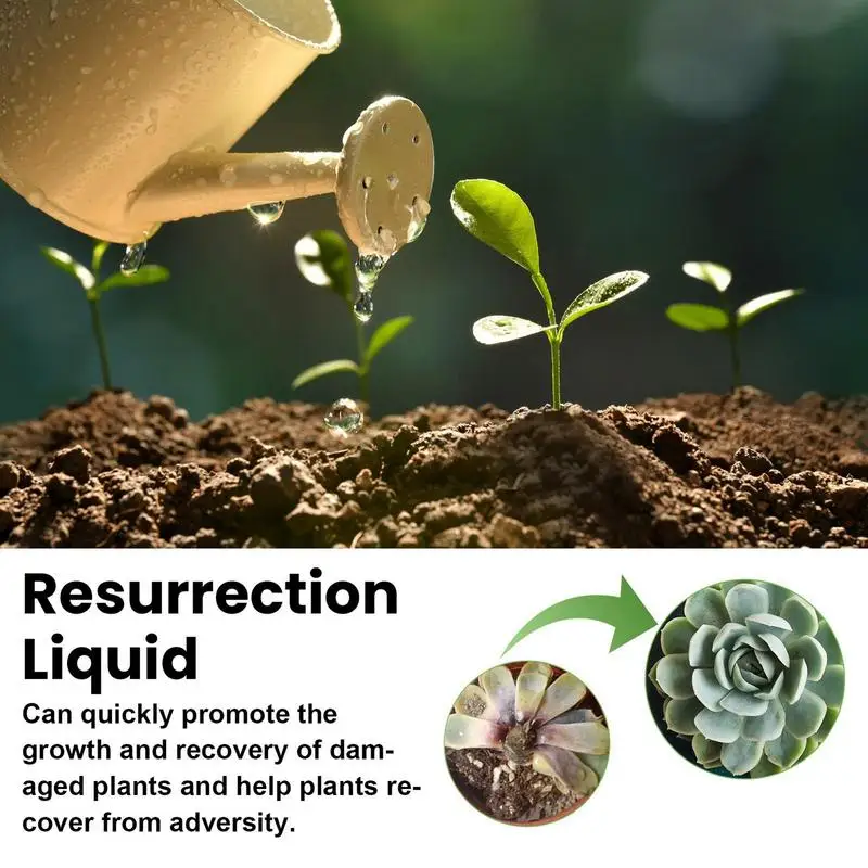 Plant Resurrection Liquid Succulent Root Booster Plant Growth Rooting Nutrient Root Stimulator Liquid Fruit Vegetable Fertilizer