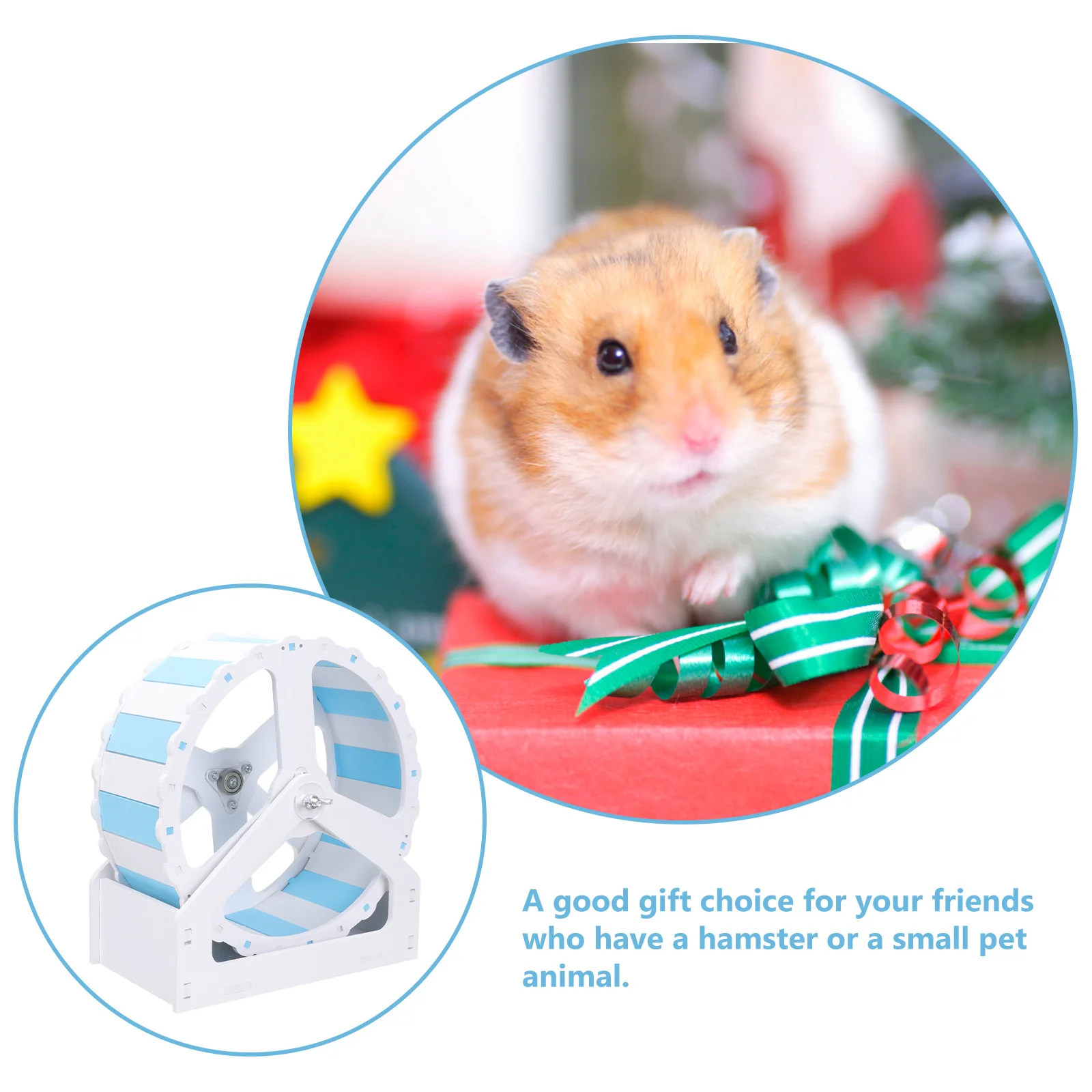 

Compact Hamster Wheel Low Noise Bearing for Household Use Ideal for Squirrel Bear Hedgehog Active Play and Healthy