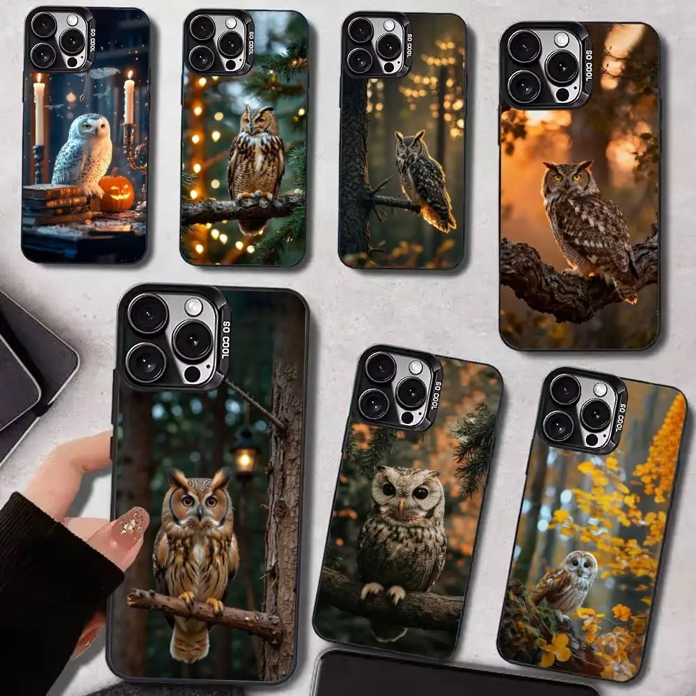 

Cute Owl Phone Case For iPhone17,16,15,14,13,12,11 Plus,Pro Max Black Candy Matte Shockproof Cover