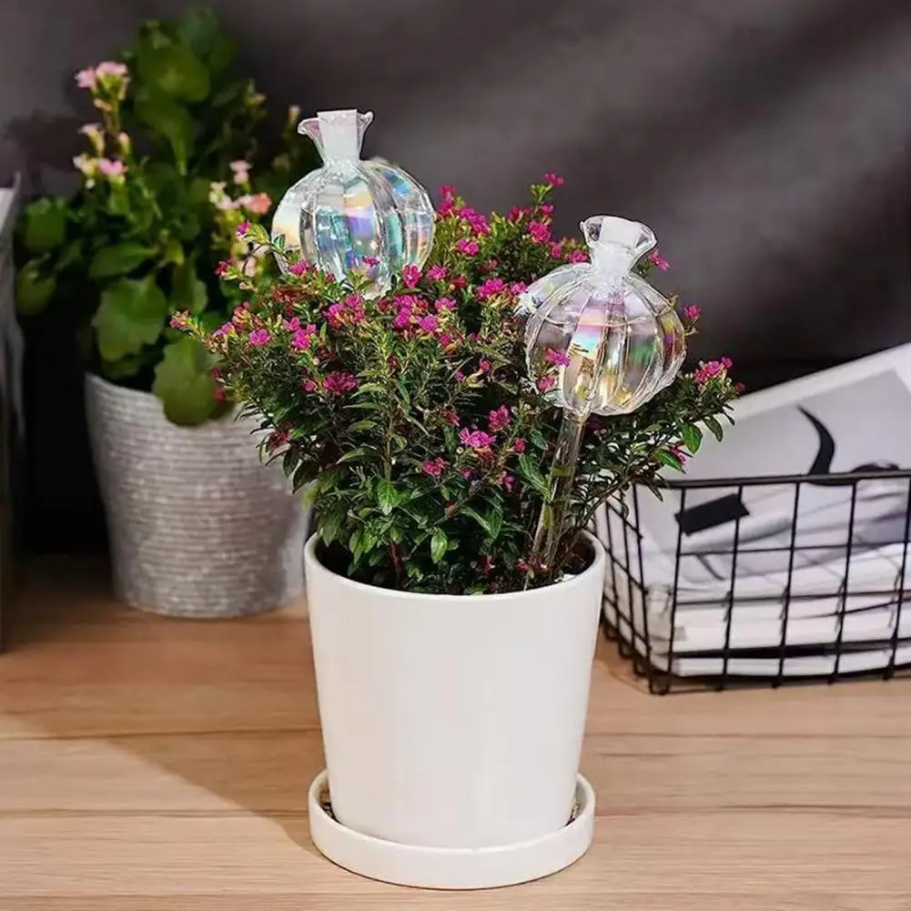 

Watering Bulb for Plants Cactus Self Watering Bulbs Automatic Plant Watering Globes for Houseplants Outdoor Potted Plants Cactus